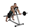 Barbell Curl - Incline